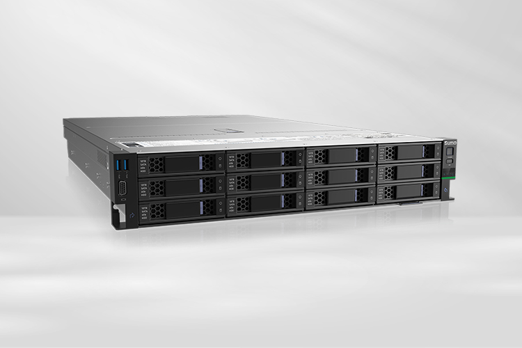 海光國(guó)產(chǎn)服務(wù)器R6420H0 護(hù)航低空經(jīng)濟(jì)騰飛(圖1) 海光國(guó)產(chǎn)服務(wù)器R6420H0 護(hù)航低空經(jīng)濟(jì)騰飛(圖1)